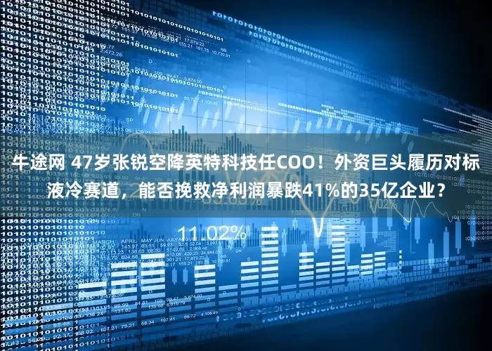 牛途网 47岁张锐空降英特科技任COO！外资巨头履历对标液冷赛道，能否挽救净利润暴跌41%的35亿企业？