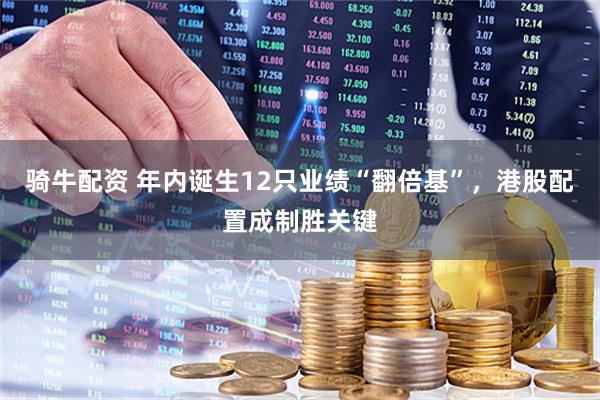 骑牛配资 年内诞生12只业绩“翻倍基”，港股配置成制胜关键