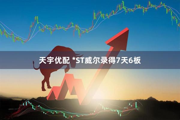 天宇优配 *ST威尔录得7天6板