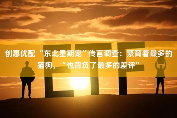 创惠优配 “东北星期宠”传言调查：繁育着最多的猫狗，“也背负了最多的差评”