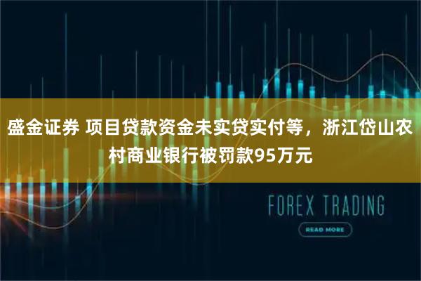 盛金证券 项目贷款资金未实贷实付等，浙江岱山农村商业银行被罚款95万元