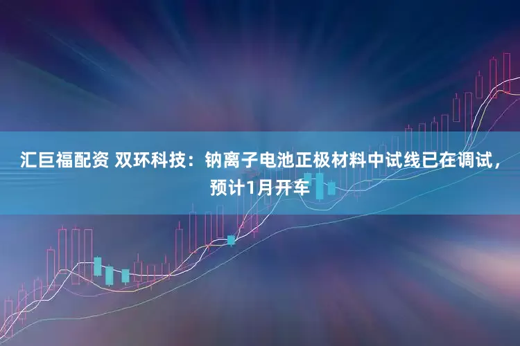 汇巨福配资 双环科技：钠离子电池正极材料中试线已在调试，预计1月开车