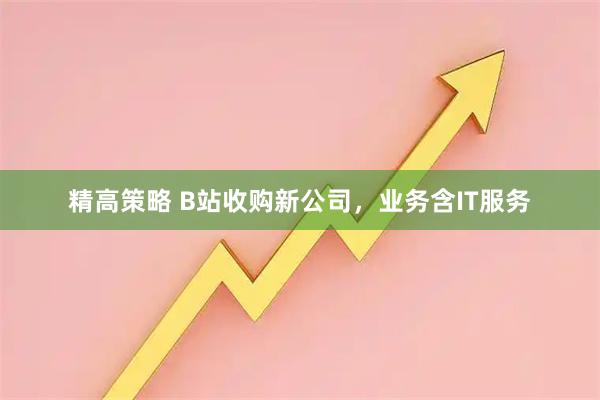 精高策略 B站收购新公司，业务含IT服务